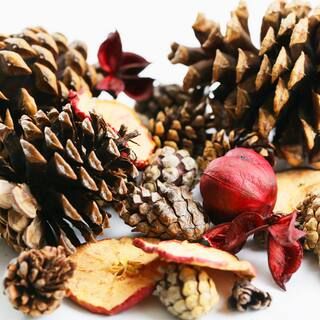 Apple Cinnamon Scented Fall Pine Cones & Apple Slices by Ashland® | Michaels Stores