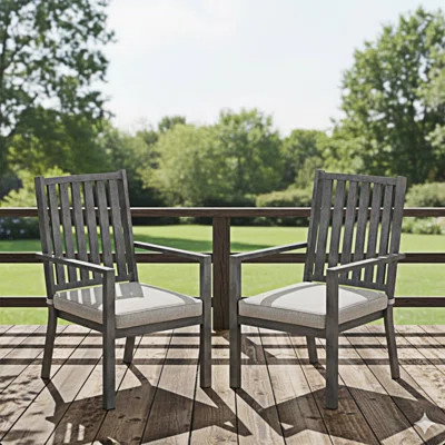 All-Weather Patio Dining Chairs With Cushions | Wayfair North America