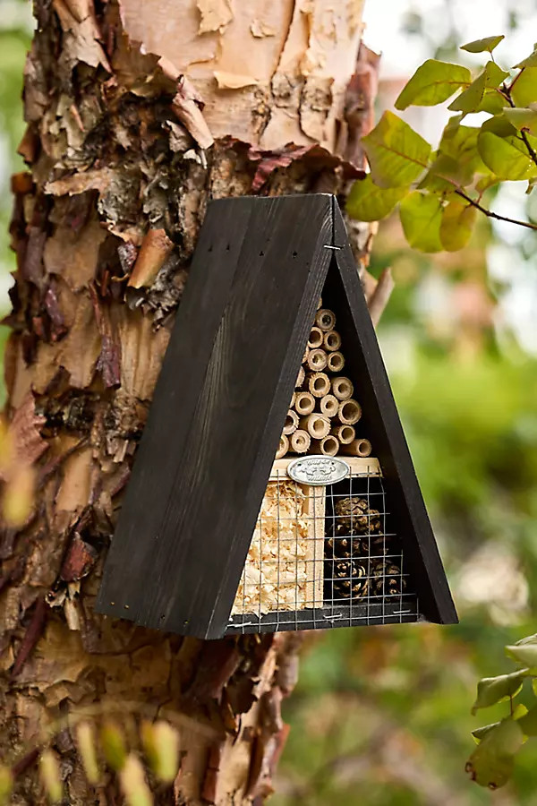 A-Frame Native Bees Insect Hotel | Anthropologie (US)