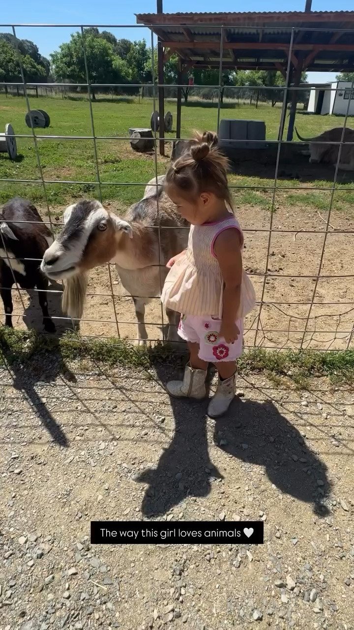 The way this girl loves animals 🤍
Toddler girl outfit
Zara kids

#LTKootd #LTKdayinmylife #LTKKids