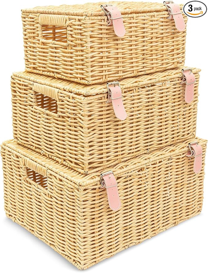 Wicker Baskets with Lid, Set of 3 – Large, Medium, Small Rectangular Woven Storage Baskets for ... | Amazon (US)