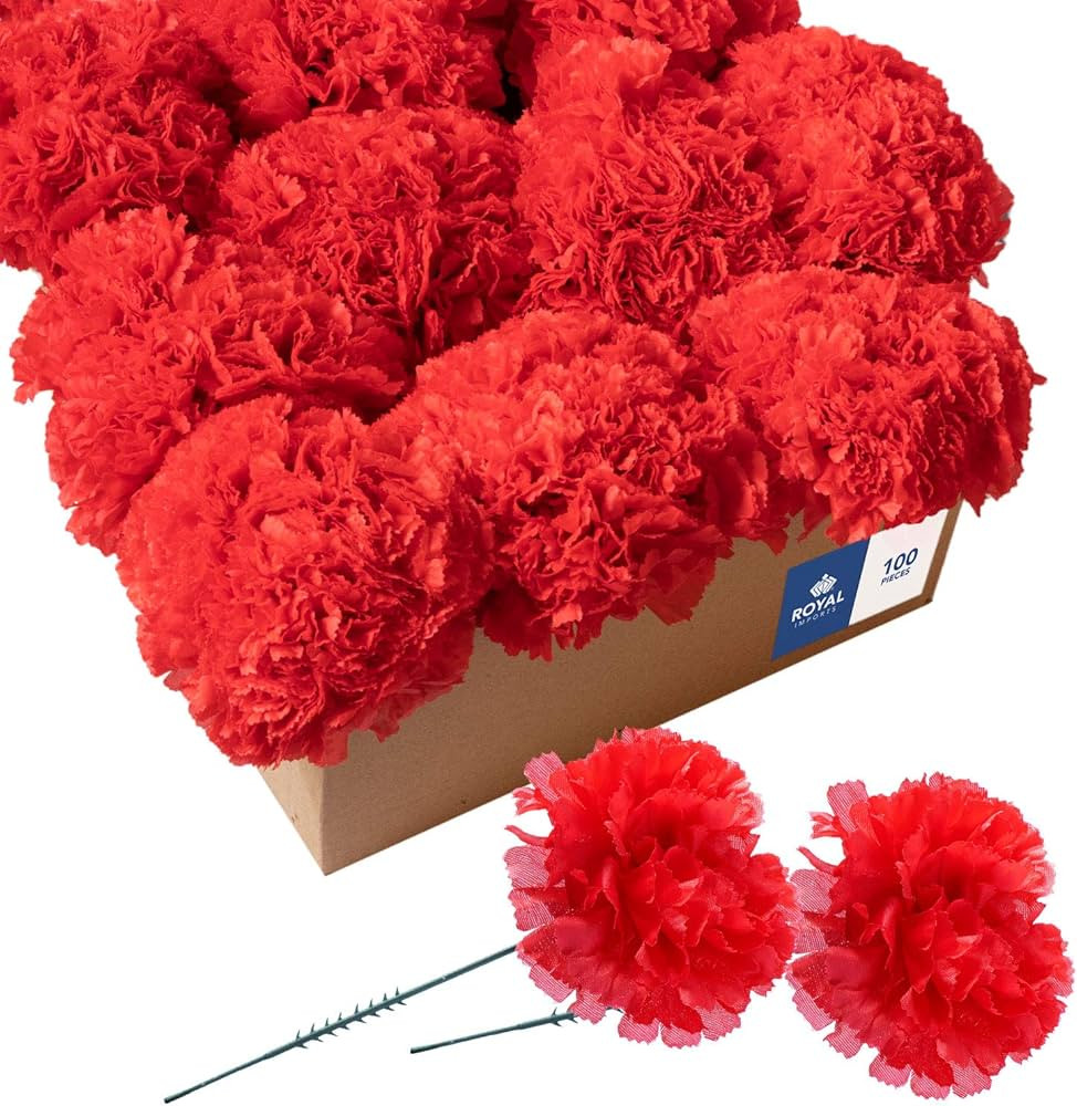 Royal Imports Artificial Carnations, Silk Faux Flowers, for Funeral Arrangements, Wedding Bouquet... | Amazon (US)