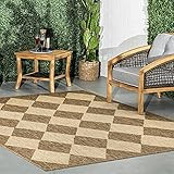 nuLOOM Sabina Trellis 8x10 Indoor/Outdoor Area Rug for Living Room Patio Deck Front Porch Kitchen... | Amazon (US)