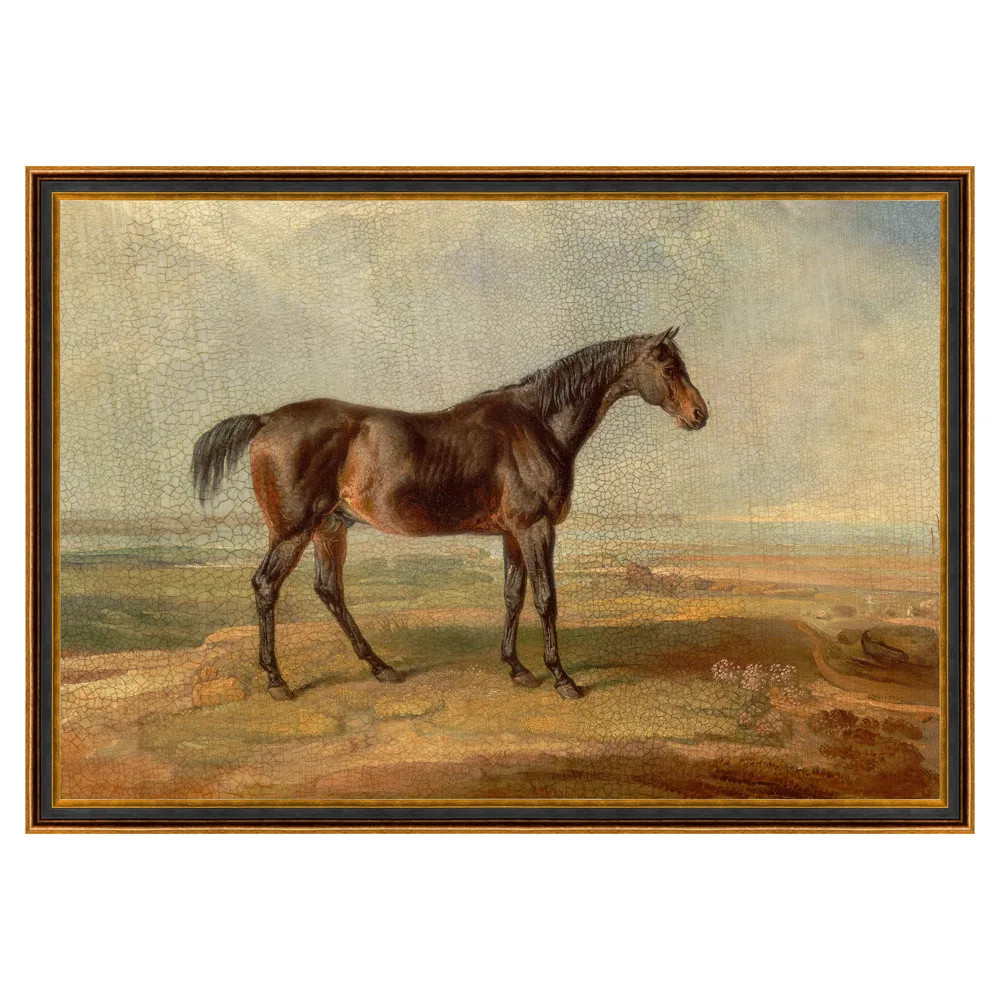 Otis Updated Traditional Brown Horse Black Frame Painting - 29x41 | Kathy Kuo Home