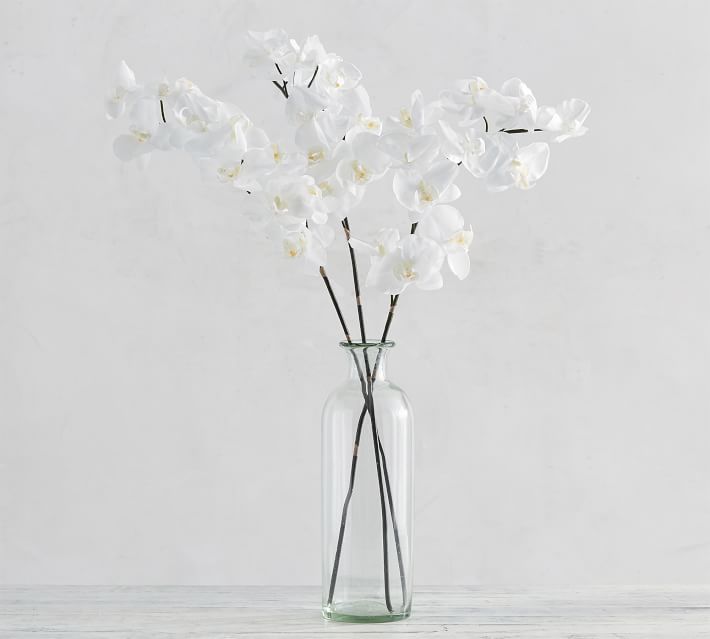 Faux Phalaenopsis Orchid Stem - White | Pottery Barn (US)