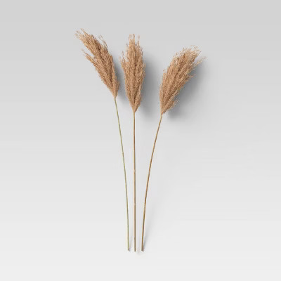 3pc Giant Reed Dried Bundle Coal - Threshold™ | Target