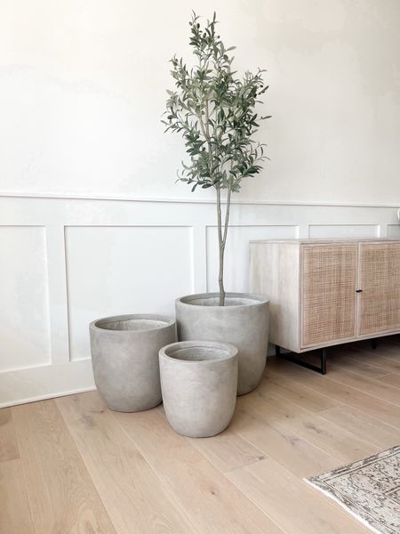 I’m loving these content planters, they come in a set of three! 

Amazon home, Amazon prime, Amazon home decor 
Living room, console table, entryway, dining table, dining chair, chandelier, neutral home decor, organic modern, faux greenery, upholstered chair, cane console, entryway console, sideboard, new arrivals, Amazon finds, home decor, neutral decor, target home,
Walmart, Amazon home, entryway decor, sofa, couch, lamp, lighting, bench, loveseat, cabinet, throw pillow, throw blanket, sideboard, arch cabinet, nightstand, end table, cane furniture, black cabinet, bedroom furniture, living room furniture, area rug, neutral rug, neutral bedding, white bedding, vase, shelf decor, coffee table, round coffee table, square coffee table, Jessicaannereed, Jessica Reed, modern decor transitional decor, affordable home decor, home finds, look for less

Follow my shop @jessicaannereed on the @shop.LTK app to shop this post and get my exclusive app-only content!

#liketkit #LTKFindsUnder50 #LTKStyleTip #LTKHome
@shop.ltk
https://liketk.it/4FXit

#LTKSaleAlert #LTKFindsUnder50