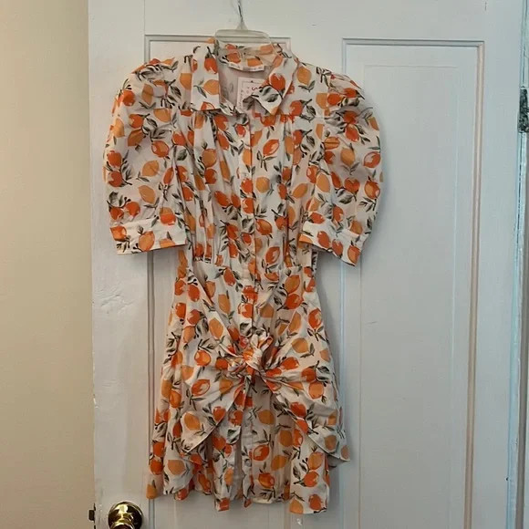 Gorgeous Georgia peach Karlie dress. Size small | Poshmark