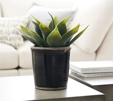 Faux Potted Aloe Vera Plant | Pottery Barn (US)