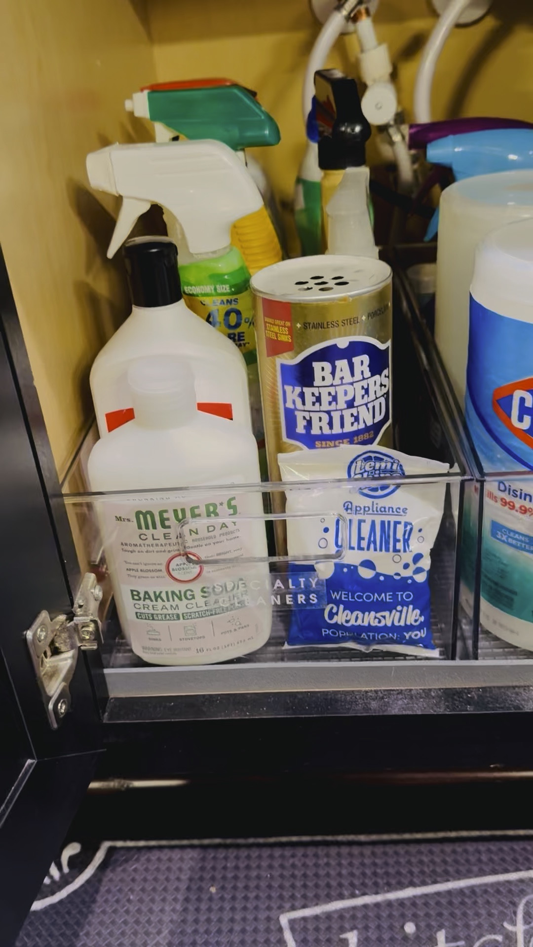 Under sink organization

#LTKFindsUnder50 #LTKHome