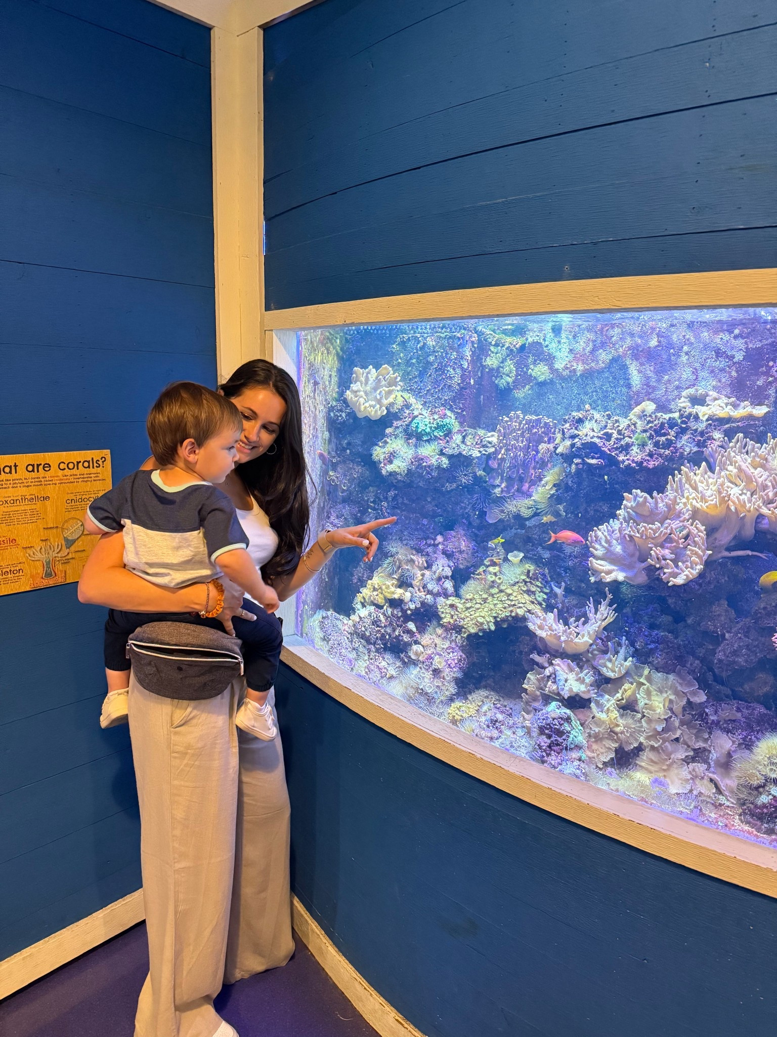 tush baby carrier - I take this thing everywhere 😬

#LTKKids #LTKBaby #LTKBump