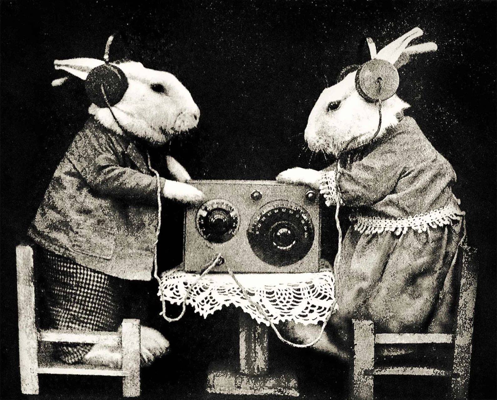 Rabbit Bunny Print Wall Decor Vintage Photo Old Antique Radio - Etsy | Etsy (US)