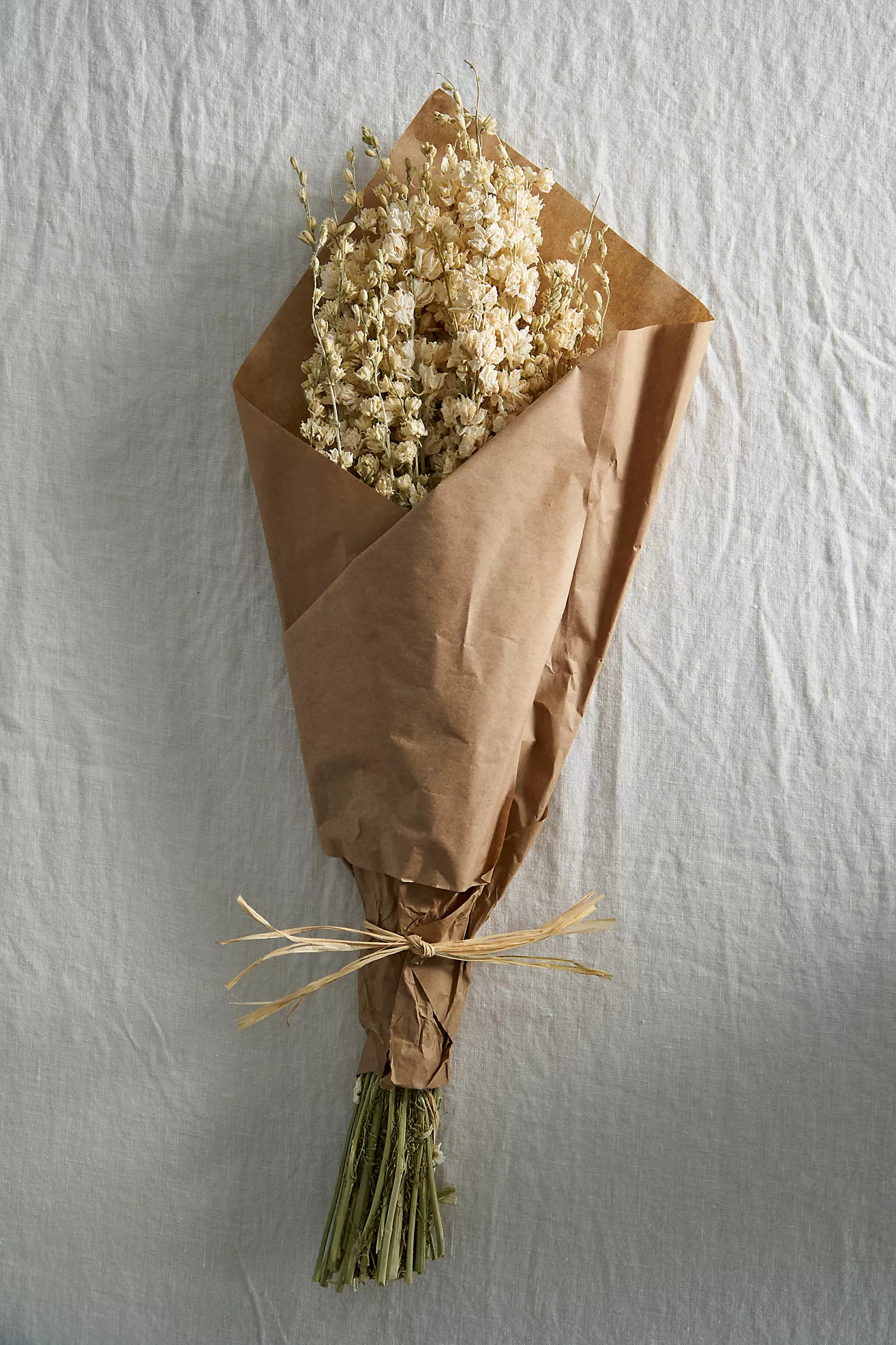 Dried Larkspur Bunch | Anthropologie (US)