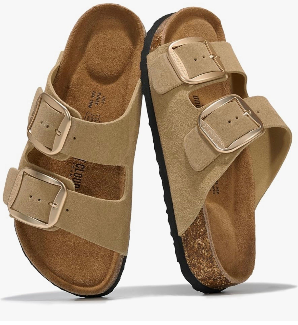 ✨Summer Slides✨
