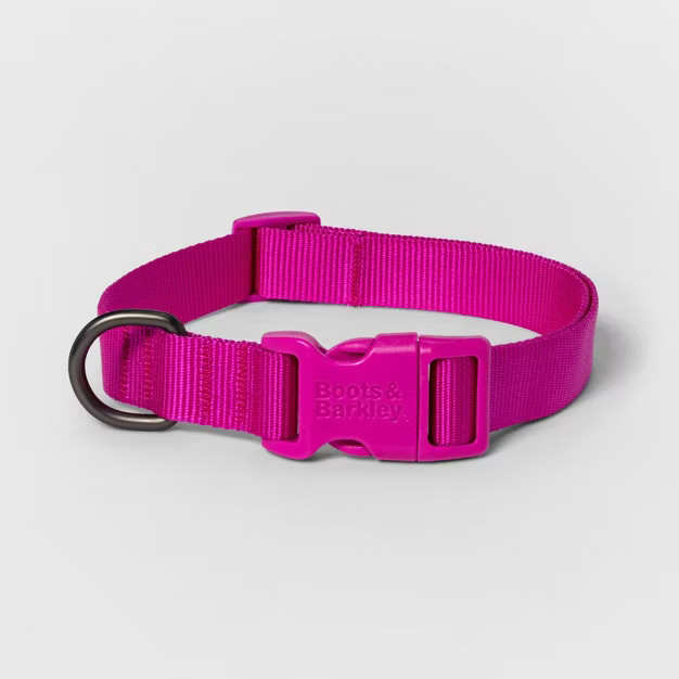 Basic Dog Collar with Color Matching Buckle - Boots & Barkley™ | Target