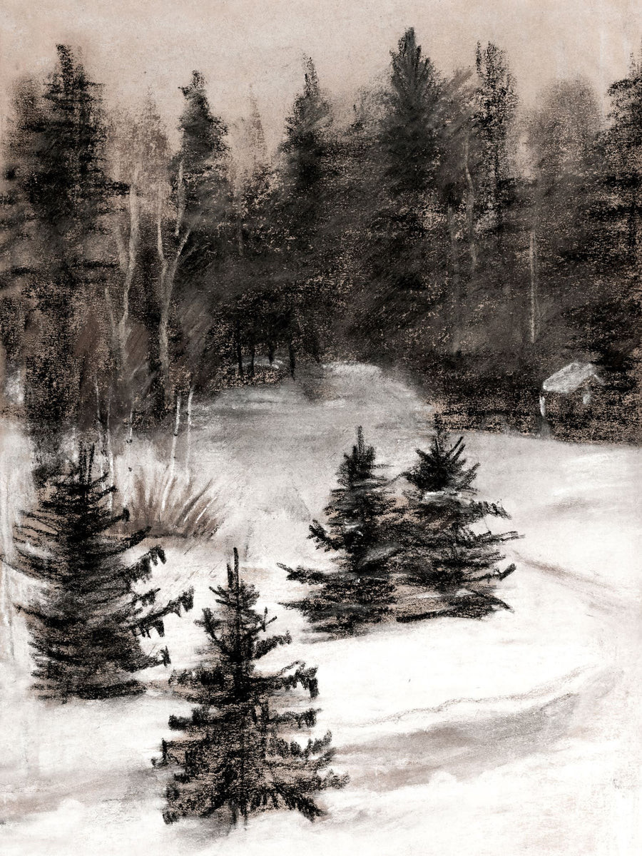 White Woods | Collection Prints