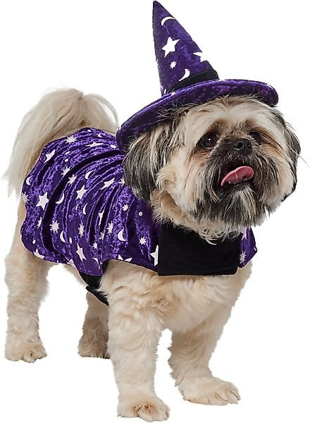 Frisco Cosmic Witch Dog & Cat Costume | Chewy.com