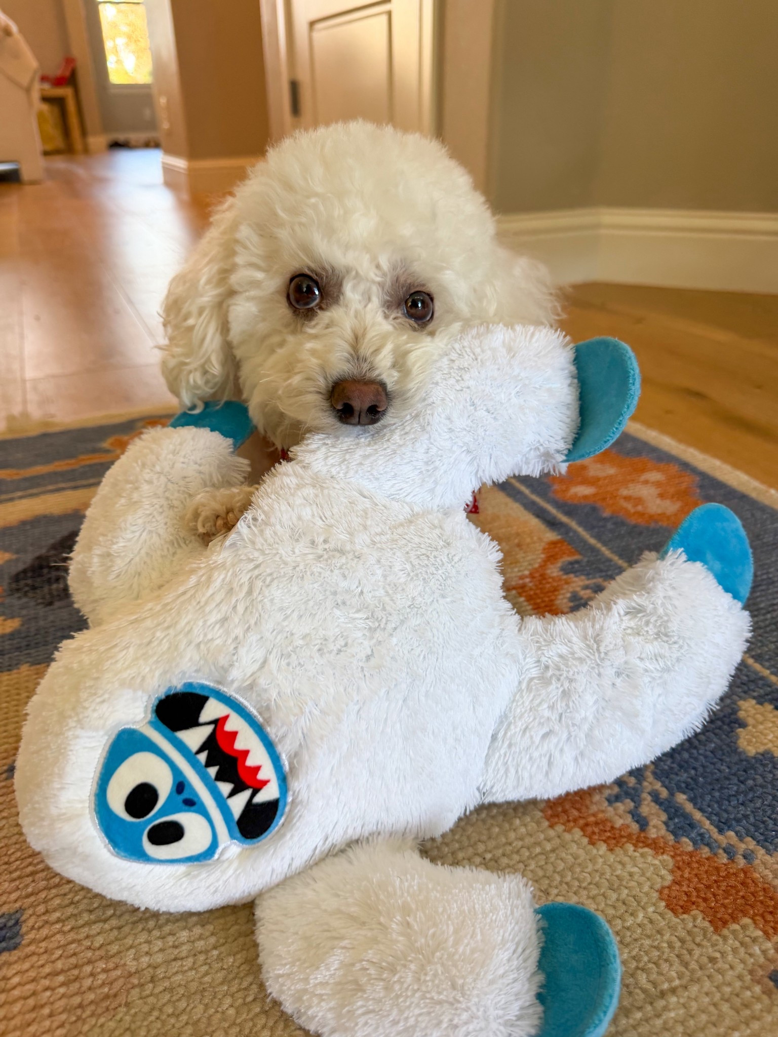 Don’t forget to fill your pups stocking Christmas morning! 🐾🎄🐾

Right now, chewy.com has a deal on dog toys (buy three, get the fourth free). The perfect time to stock up on new toys for your furry best friend! 

#LTKHoliday #LTKSeasonal #LTKGiftGuide