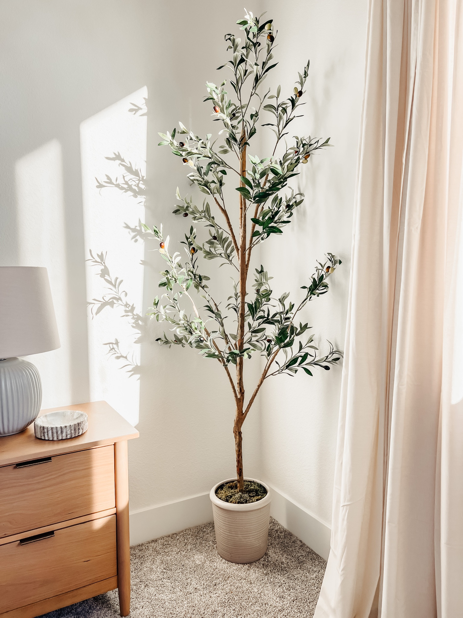 Love this 6ft olive tree! I put it inside this pretty pot from Target and added fake moss. #olivetree #primarybedroom #bedroomdecor 

#LTKhome