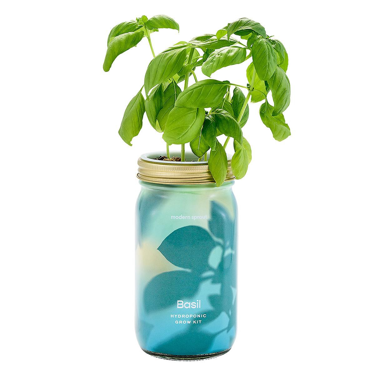 Modern Sprout Organic Herbs Garden Jar | The Container Store