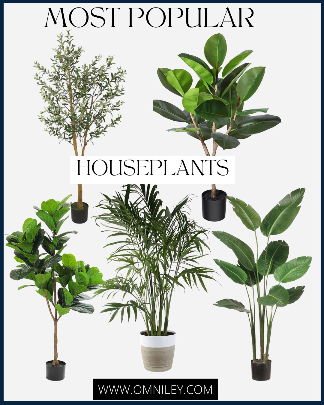 Belle Omniley's Amazon Page | Amazon (US)