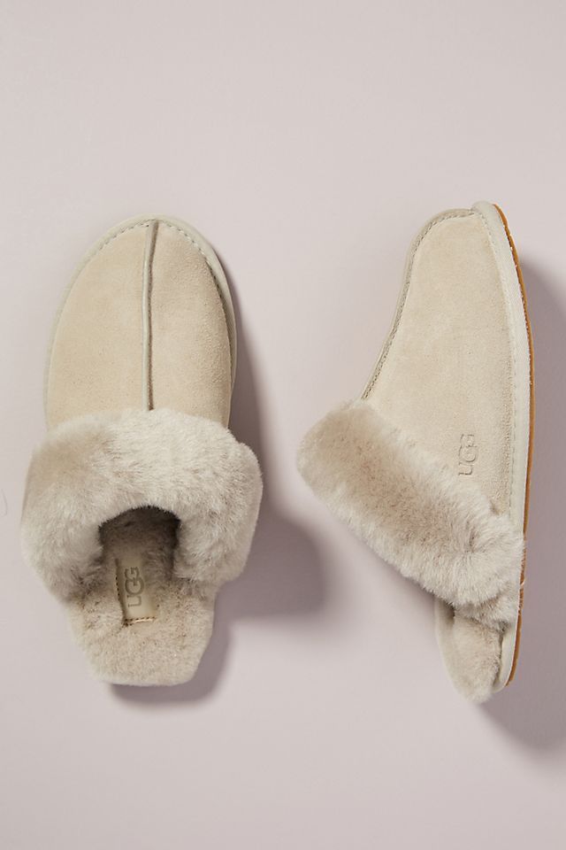UGG Scuffette Slippers | Anthropologie (US)