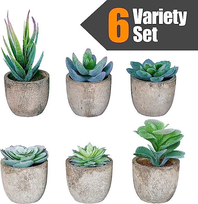Set of 6 Artificial Succulent Plants with White Snow Flocking in Pots – Realistic Greenery Mini... | Amazon (US)