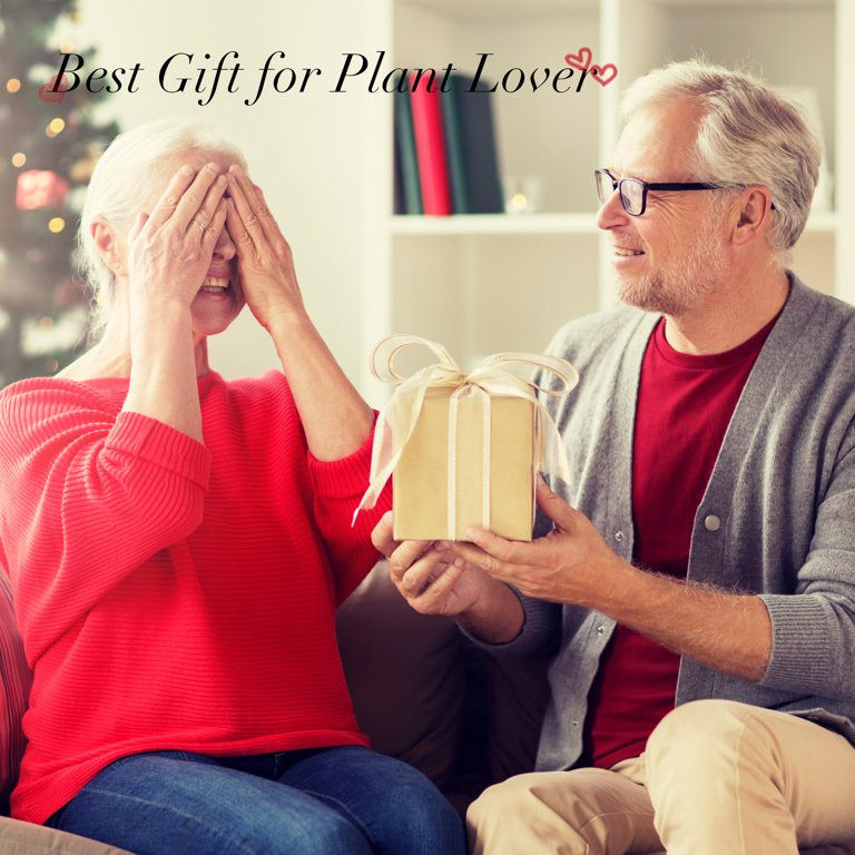 XXXFLOWER Air Plant Propagetion Terrarium with 5 Tube Size:4.92"H x 8.66"W x1.57"D | Walmart (US)