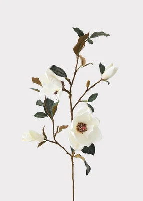 SAVE- Cream Magnolia Fake Flower Branch - 35" | Afloral
