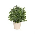 Mainstays 9" Artificial Boxwood Plant in Tan Planter Pot | Walmart (US)
