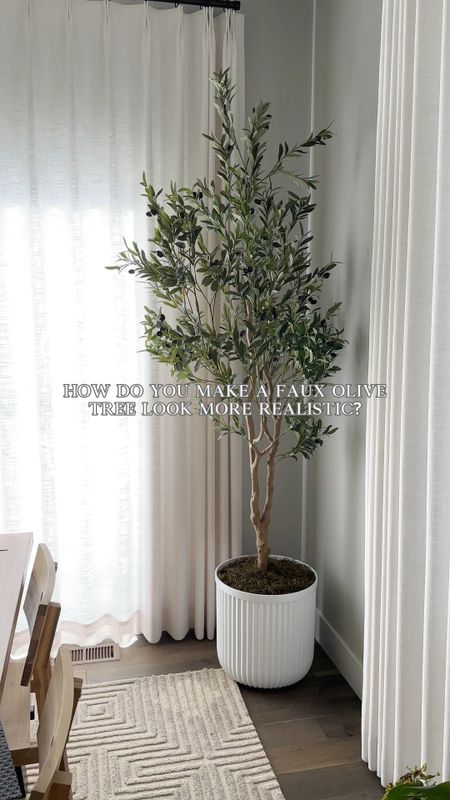 Love this faux olive tree. Cut off the olives to make it look more realistic! 

#LTKhome #LTKfindsunder100 #LTKstyletip