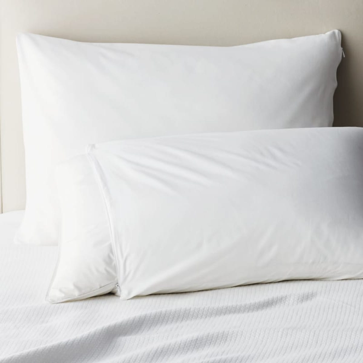 Cotton Pillow Protector | The Company Store
