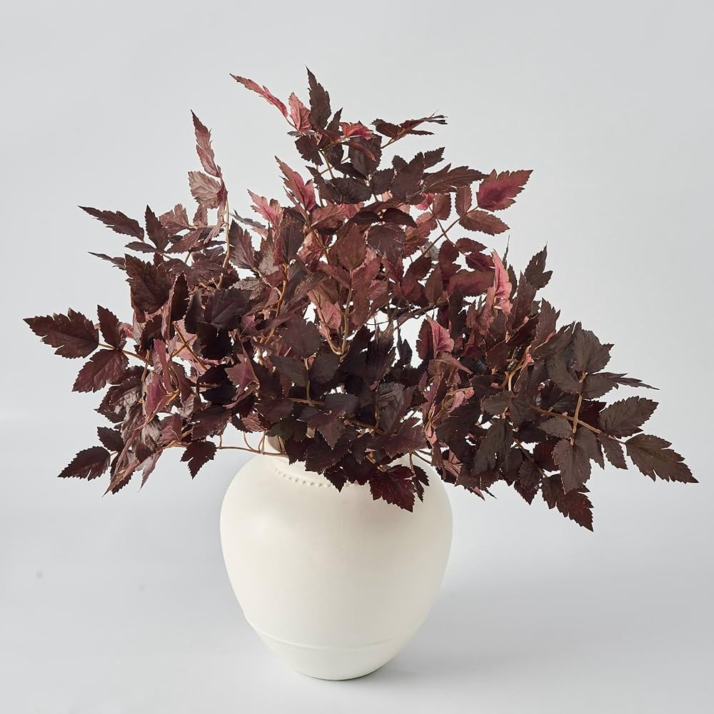 Artificial Branches for Vase, 5Pcs Faux Stems Greenery Plant Stems for Vase, Cimicifuga Plant Lea... | Amazon (US)