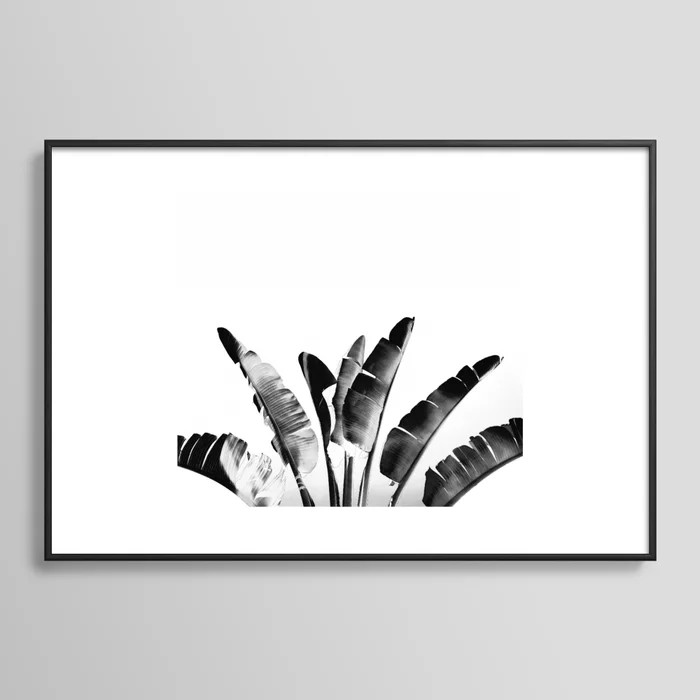 Traveler palm - bw Art Print | Society6