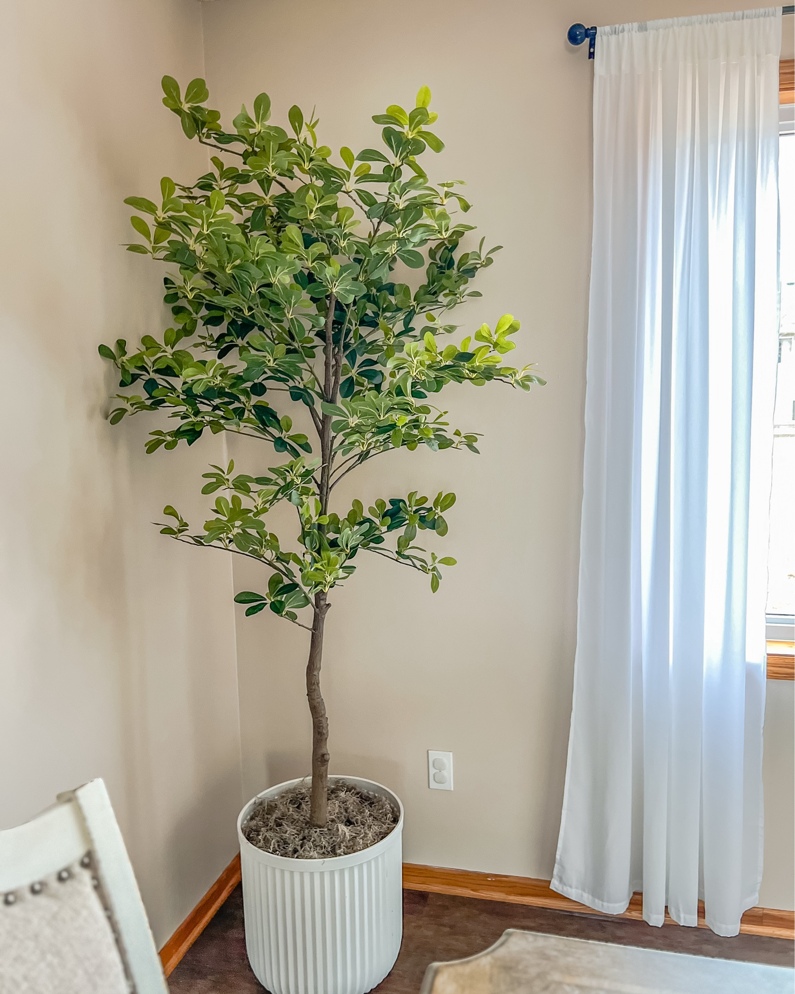 2025 Home Trends // some favorites from decor to bathroom remodel, kitchen refresh, the cutest candle warmer, and everything in between 🫶 

#LTKWatchNow #LTKMostLoved #LTKHome