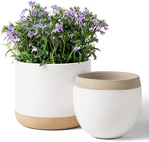 White Ceramic Flower Plant Pots - 6.5 + 4.9 Inch Indoor Planters, Plant Containers with Beige and Cr | Amazon (US)