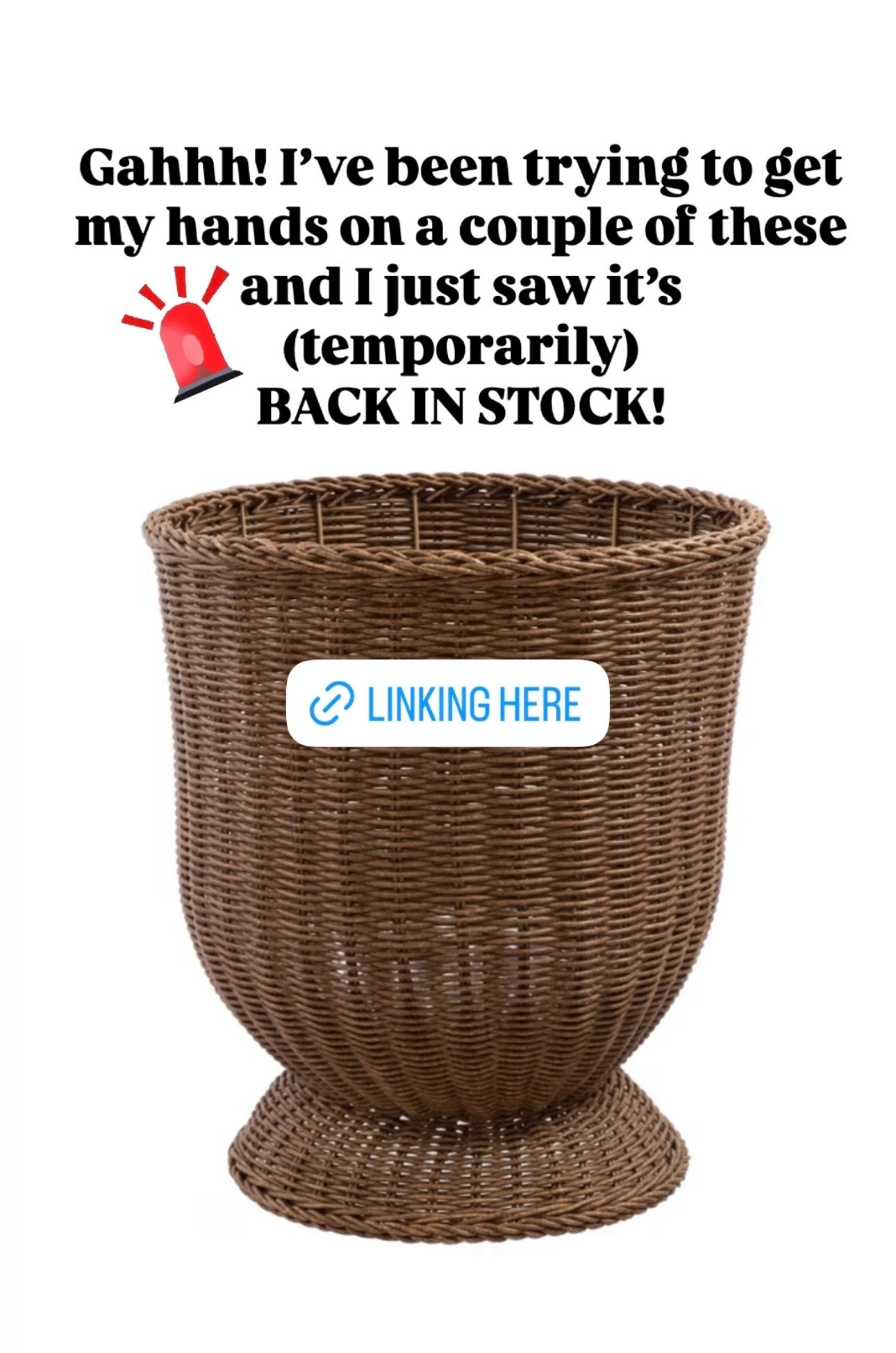 So excited these are back in stock!

#LTKHome #LTKSeasonal