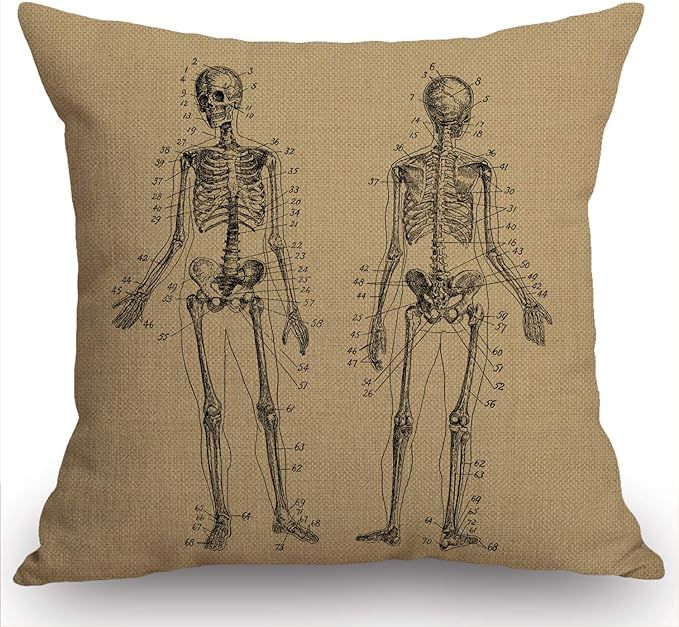 Swono Human Skeleton Throw Pillow Cover Human Anatomy Farmhouse Cushion Case for Sofa Couch 18x18... | Amazon (US)