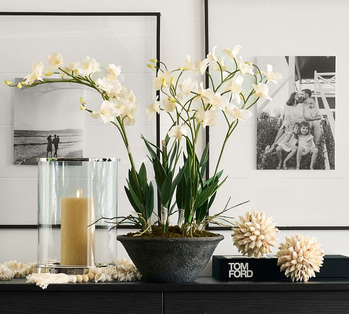 Faux Composed Orchid | Pottery Barn (US)