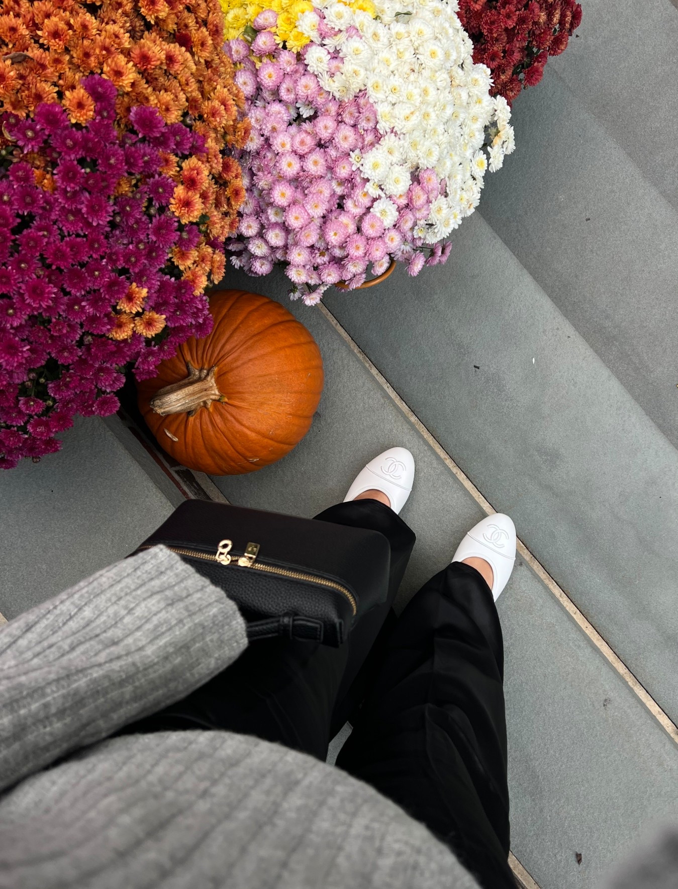 Fall fashion
Fall outfit 
Chanel
Satin pants
Silk pants
Classic outfit 
Designer bag

#LTKShoeCrush #LTKSeasonal #LTKPetite