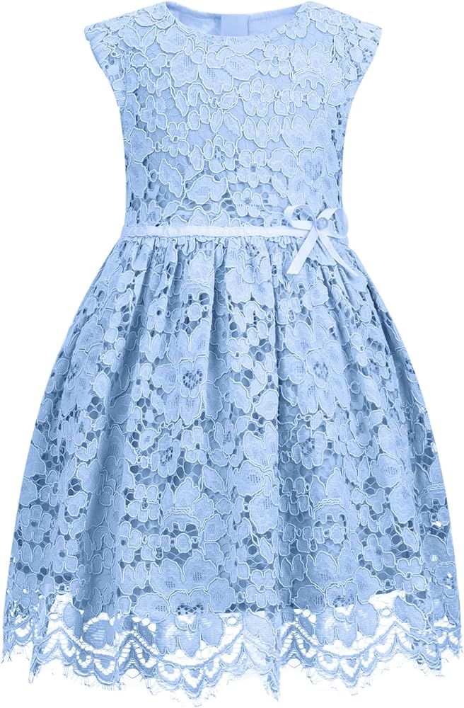 ALLOVIN Toddler Girl's Sleeveless A-Line Lace Party Dress Flower Girl Princess Dress with Bowknot | Amazon (US)