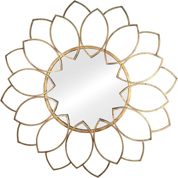 Stratton Home Decor SHD0159 Alexandra Wall Mirror, 32.28 W X 0.98 D X 32.28 H, Antique Bronze | Amazon (US)