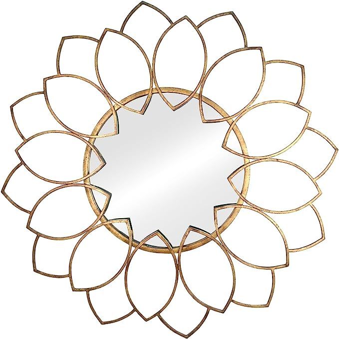 Stratton Home Decor SHD0159 Alexandra Wall Mirror, 32.28 W X 0.98 D X 32.28 H, Antique Bronze | Amazon (US)