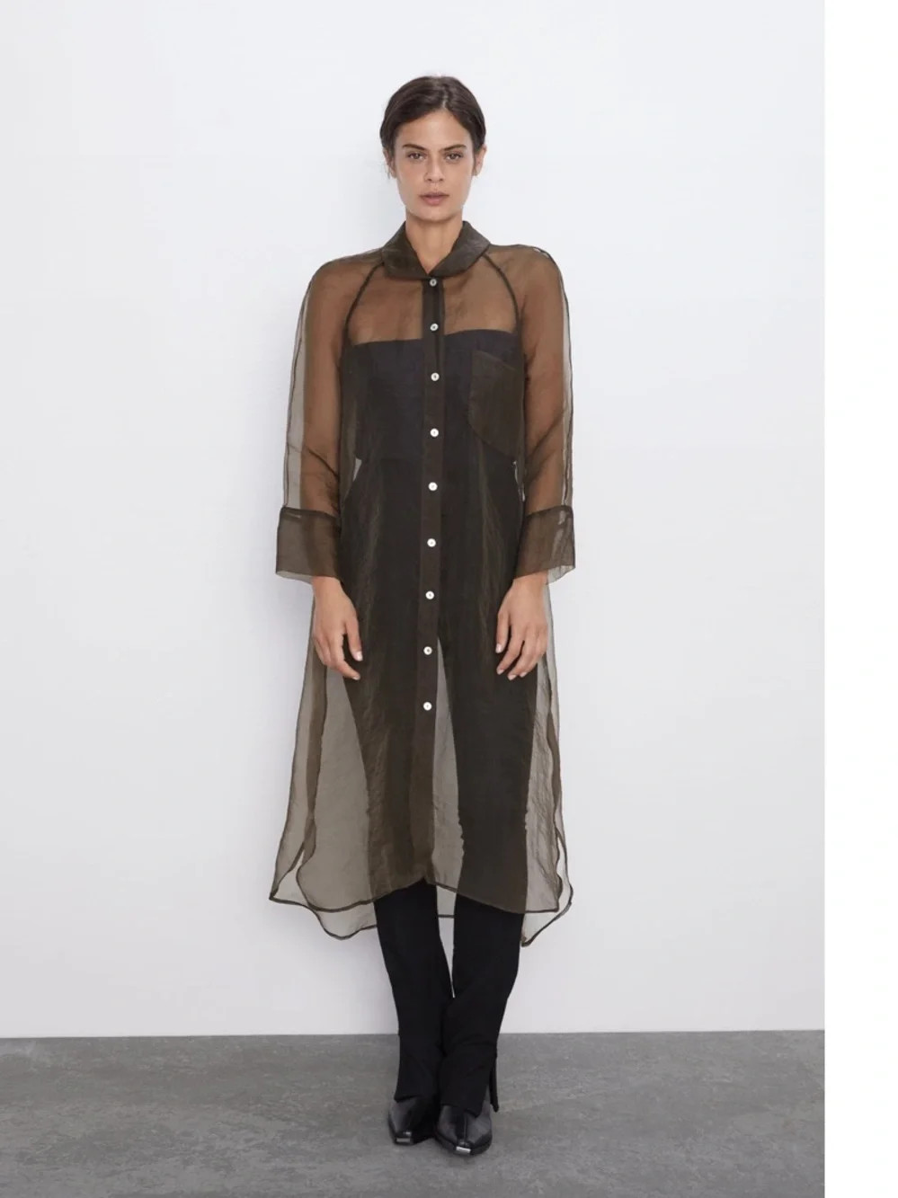 Zara Sheer Organza Long Top | Poshmark