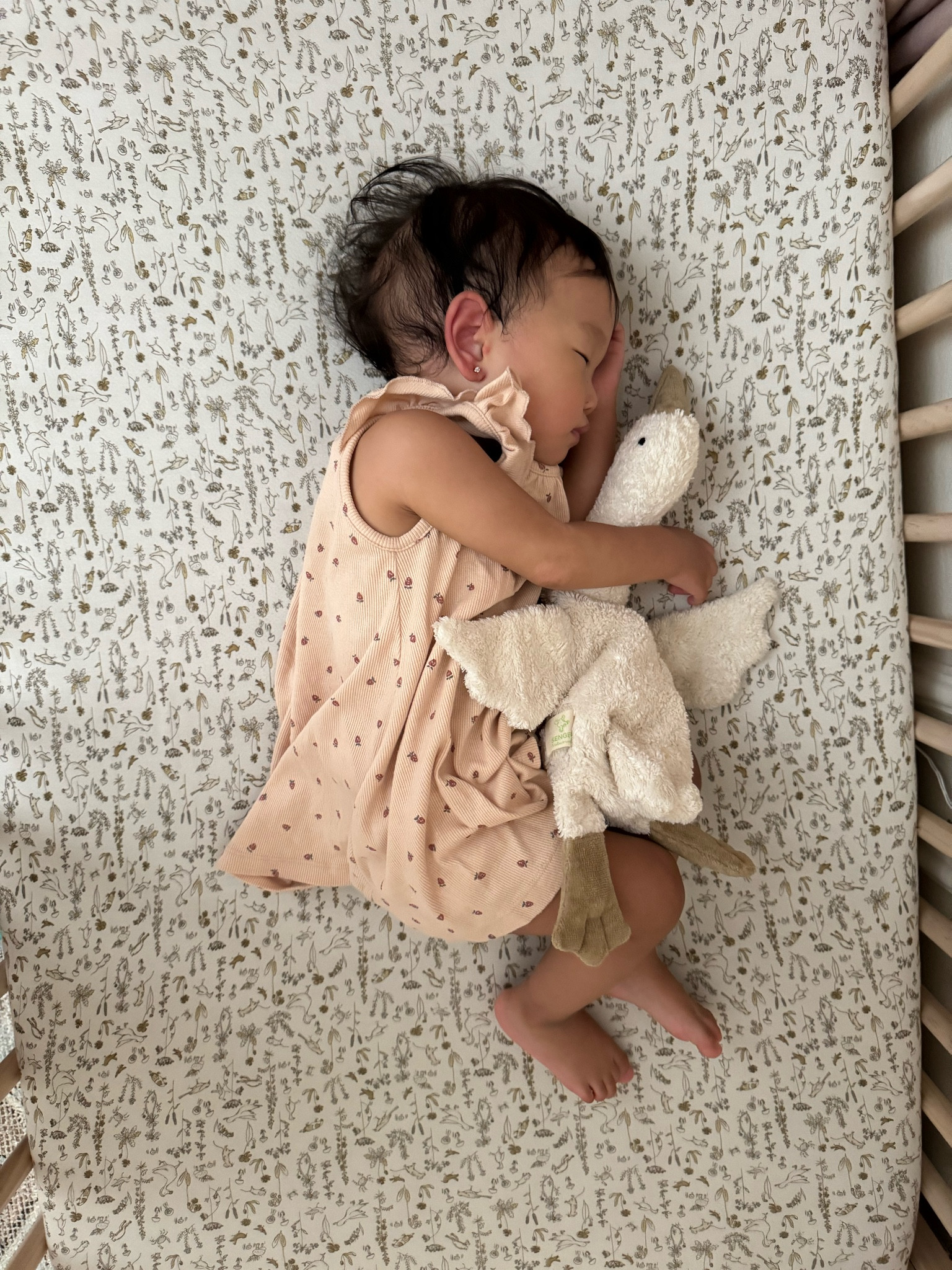 Weighted animal with beans you can heat up! Perfect lovey! We have it in a small goose, small bunny, small elephant, & large goose! 

#LTKKids #LTKBump #LTKBaby