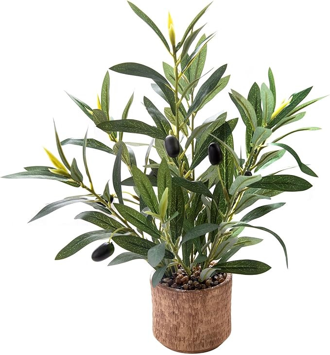 Indoor Fake Olive Plant - 12 inch Faux Silk Olive Plant with Realistic Trunk and Lifelike Fruits ... | Amazon (US)