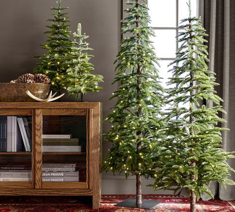 Lit Faux Pine Trees | Pottery Barn (US)
