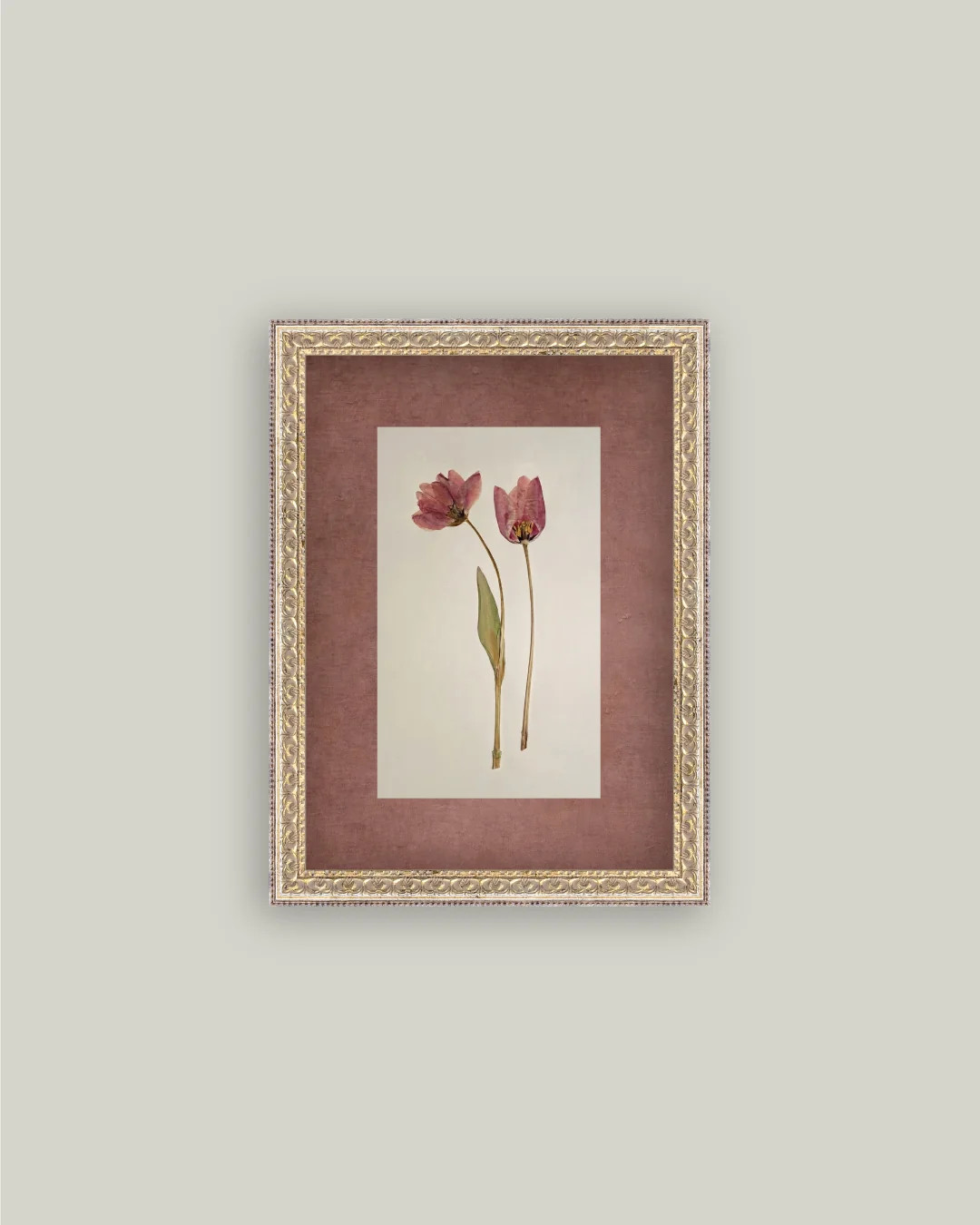 Pressed Tulips | Petal Lane