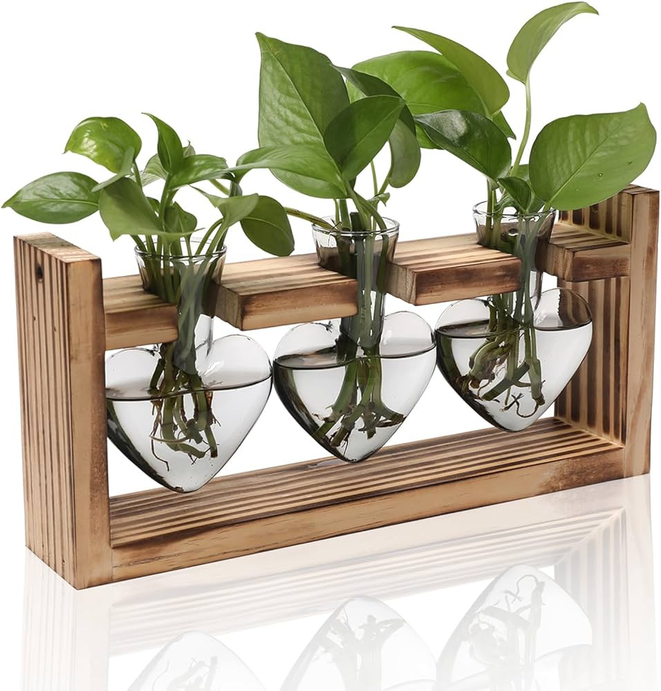 Plant Terrarium Propagation Stations Hydroponics Home Garden Decoration Gift for Women with Woode... | Amazon (US)