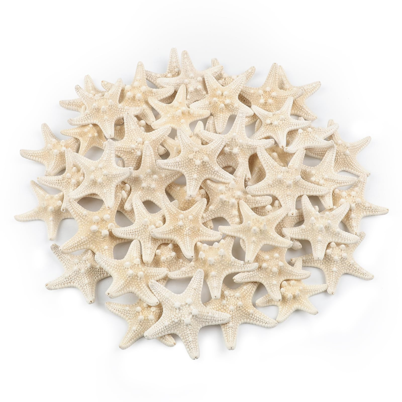 48 PCS Starfish, Mini Starfish 1" to 2" Small Knobby Starfish Natural Seashells Starfish Perfect ... | Amazon (US)